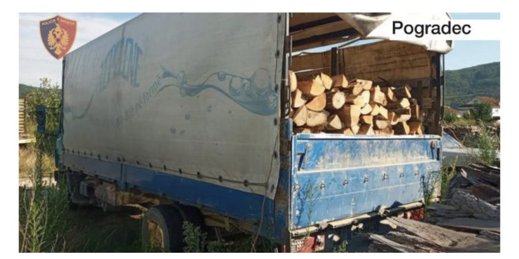 Goditen 2 raste të tjera të prerjes së paligjshme të pyjeve në Pogradec, nën hetim 2 persona