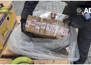 Kapet kontenieri me banane dhe kokainë në portin e madh, vinte nga Ekuadori