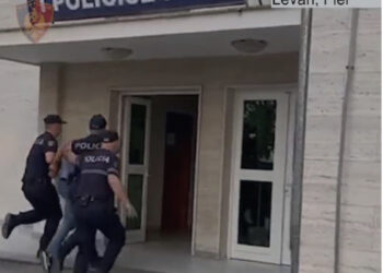 Ndezi zjarr për të djegur barishtet, dogji 20 ha shkurre e kullota, pranga 42 vjeçarit në Fier