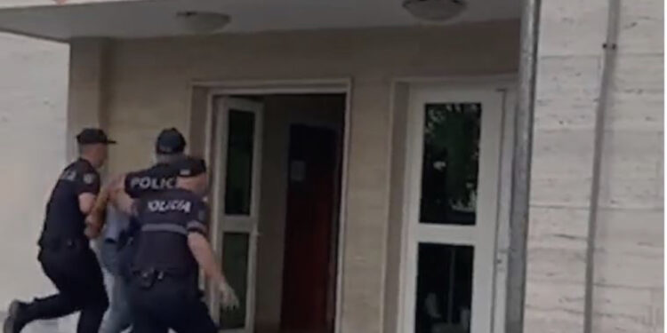 Ndezi zjarr për të djegur barishtet, dogji 20 ha shkurre e kullota, pranga 42 vjeçarit në Fier