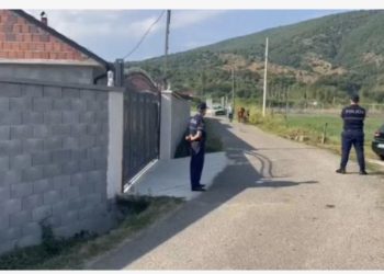 I riu vrau me kaçavidë fqinjin, policia e Bulqizës merr në mbrojtje familjen e autorit
