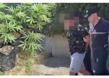 Skandali i drogës në Zall Herr, zbardhen dëshmitë e plota të tre ushtarëve të arrestuar