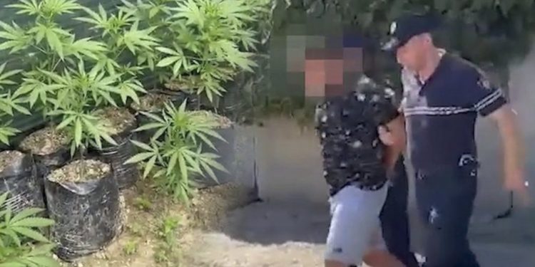 Skandali i drogës në Zall Herr, zbardhen dëshmitë e plota të tre ushtarëve të arrestuar