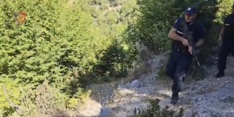 Drogë në repartin ushtarak, asgjësohen 17 000 rrënjë kanabis, 12 persona në pranga