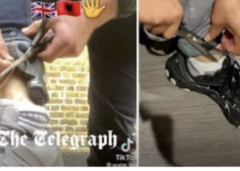 VIDEO/ Shqiptarët nuk pyesin, këpusin LIVE prangat elektronike në Angli