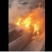 VIDEO/ Përfshihet nga flakët një makinë në Astir