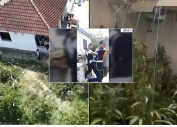 “Shtëpia e barit” në Dimal/ Si ka funksionuar mekanizmi i autorëve? Policia zbardh detajet