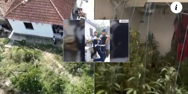“Shtëpia e barit” në Dimal/ Si ka funksionuar mekanizmi i autorëve? Policia zbardh detajet