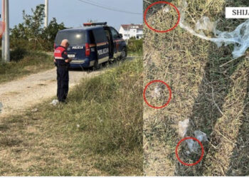 Shiste doza kokaine në lagjet e Shijakut, arrestohet 27-vjeçari