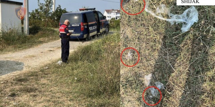 Shiste doza kokaine në lagjet e Shijakut, arrestohet 27-vjeçari