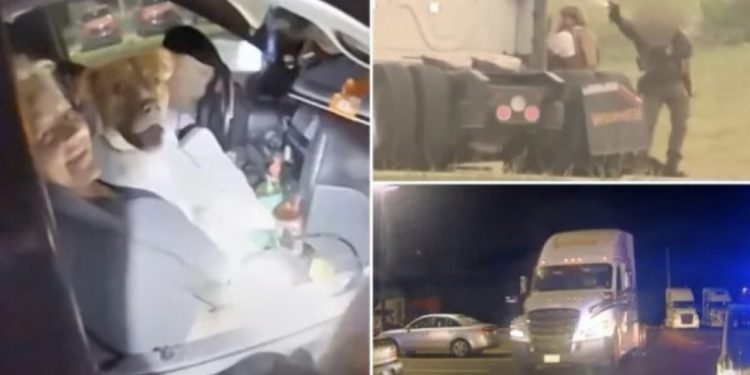 VIDEO/ Ndjekje si nëpër filma, pas përplasjes me armë me policinë, humb jetën çifti