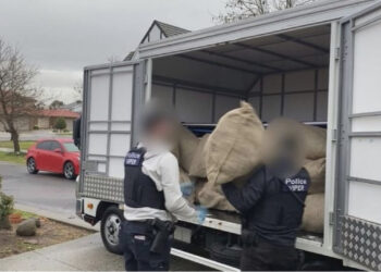 EMRI/ 1 ton kanabis/ Zbulohet kush e drejtonte bandën shqiptare në Australi