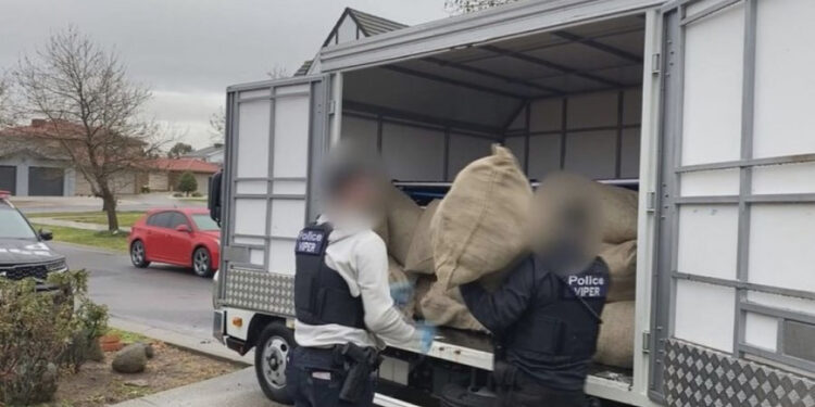 EMRI/ 1 ton kanabis/ Zbulohet kush e drejtonte bandën shqiptare në Australi