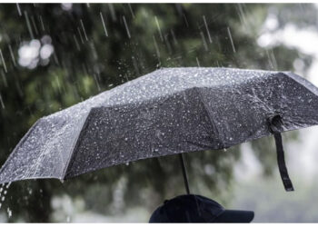 Reshje, erë e fortë dhe temperatura verore, kontrastet e motit në orët në vijim