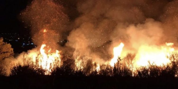Zjarr masiv në Qeparo, kërkohet ndërhyrje nga ajri
