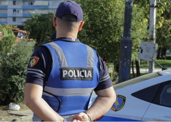 7 raste vjedhjesh, 3 persona në pranga, një 17-vjeçar i përfshirë në vepër