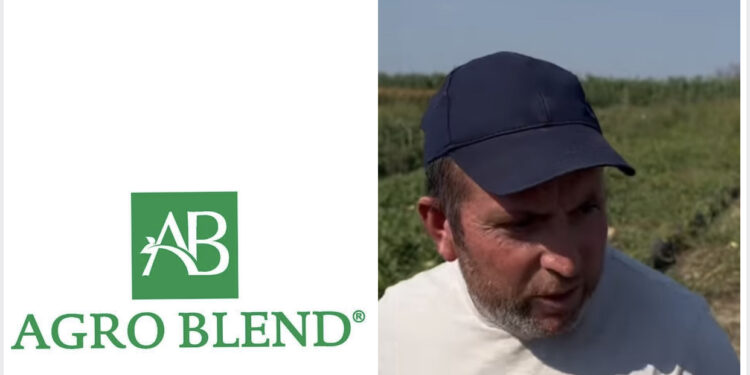 VIDEO/ Kompania “Agro Blend” e Fiqiri Ismailit fundos fermerin në Fier, shet farëra të skaduara. 20 milion lek dëm dhe nuk mban përgjegjësi