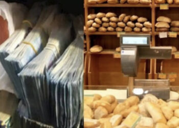 Turistët harrojnë 15 mijë euro në furrën e bukës, shitësja ia kthen