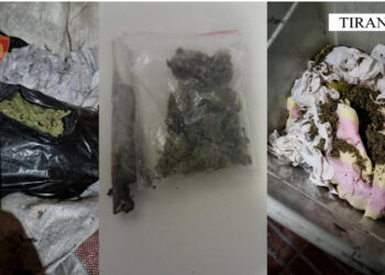 Shisnin drogë në lokal, në pranga babë e bir, në kërkim shoku i tyre