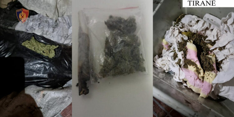 Shisnin drogë në lokal, në pranga babë e bir, në kërkim shoku i tyre