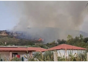 VIDEO/ Përfshihen nga zjarri kodrat me ullishte në Fier, flakët po përhapen me shpejtësi