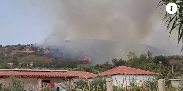 VIDEO/ Përfshihen nga zjarri kodrat me ullishte në Fier, flakët po përhapen me shpejtësi