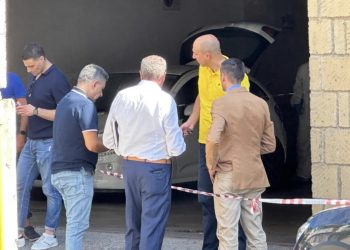 Britma dhe ulërima në garazh! Gruaja vritet me thikë pas shpine