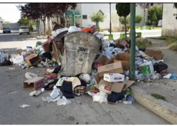 Tre tendera rresht! Nipi i Sadriut, Arbër Abazi bëhet monopoli i plehrave