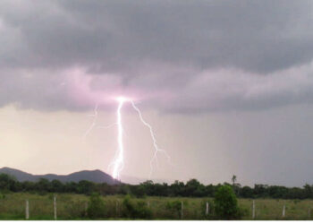 Moti i keq “pushton” Gramshin, rrufeja godet tufën e dhive, shpëton bariu