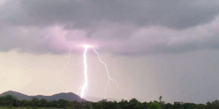 Moti i keq “pushton” Gramshin, rrufeja godet tufën e dhive, shpëton bariu