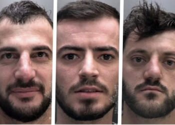 EMRAT/ Fabrikë kanabisi në Britani, ja çfarë ndodhi me tre shqiptarët