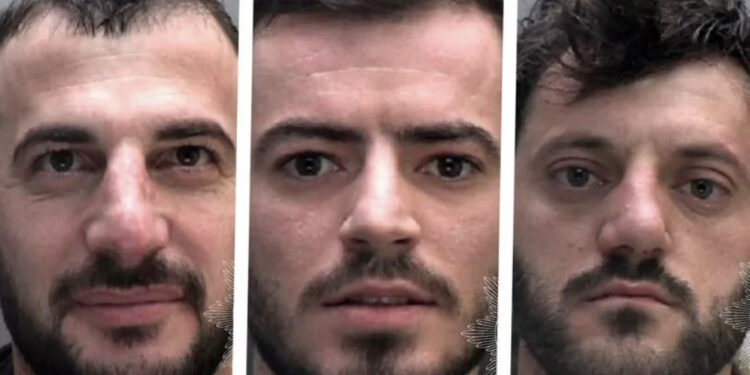 EMRAT/ Fabrikë kanabisi në Britani, ja çfarë ndodhi me tre shqiptarët