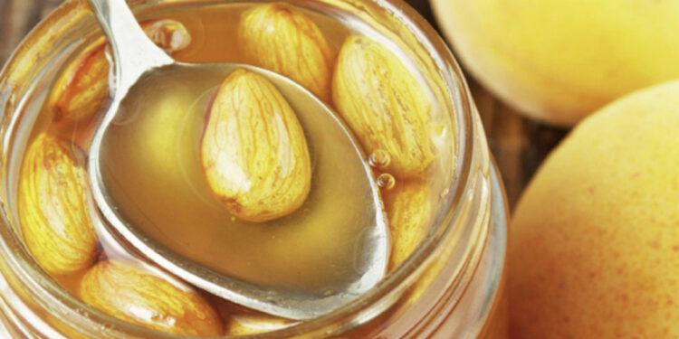 Bajame në mjaltë, vlerat e fuqishme shëndetësore