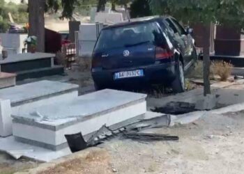 As të vdekurit nuk gjejnë rehat nga të çmendurit e gjallë. Shiko çfarë ka ndodhur në Fier