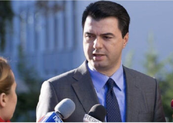 “Zhveshi” Bardhin, Basha: Postin e kreut të grupit të PD-së do ia jap një tjetri