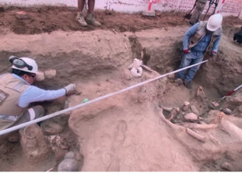 Zbulohen varreza të lashta fëmijësh gjatë instalimit të një tubacioni gazi