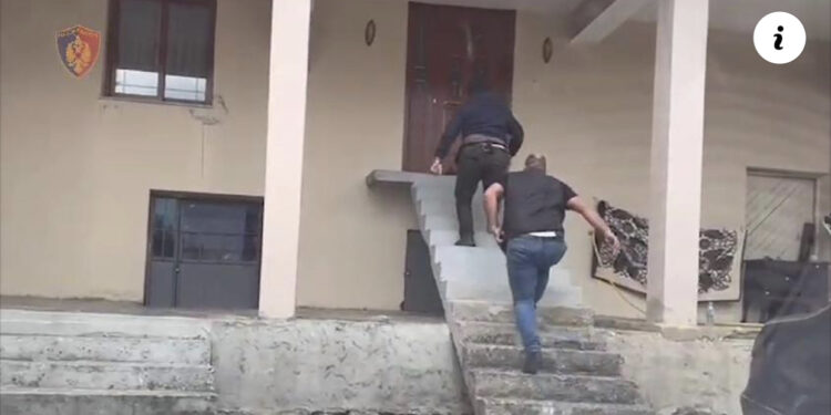 “Policia… Hape derën!”/ Kanabisi ‘lumë’ në Pogradec, arrestohet 45-vjeçari, do e trafikonte drejt Greqisë