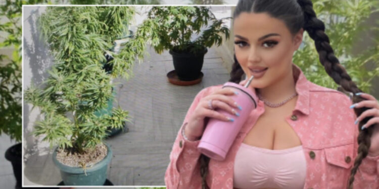 “Lidhja me narko-grupin te Komuna e Parisit”, gazetari zbulon detajet: Përgjimet që ‘fundosën’ Encën