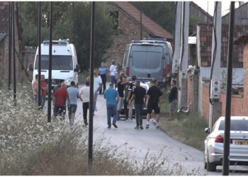 Britma dhe plumba! Vrasje me armë zjarri në mes të qytetit