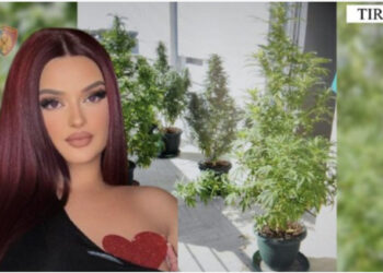 Iu zbuluan vazot me kanabis në ballkon, sa vite burg rrezikon Enca?