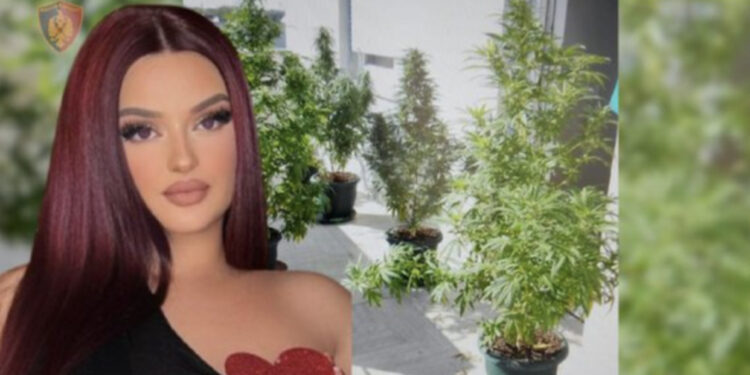 Iu zbuluan vazot me kanabis në ballkon, sa vite burg rrezikon Enca?