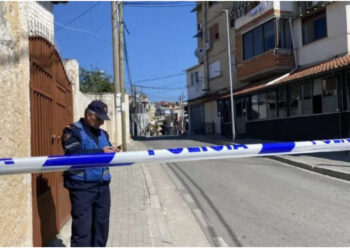 Dinamika/ “Vdiq vetë…”! Si e vrau motrën në Tiranë? Vjen njoftimi i policisë 
