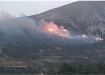 Zjarret në Tepelenë, një i arrestuar dhe dy të tjerë nën hetim