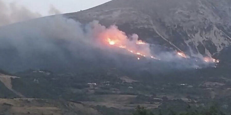 Zjarret në Tepelenë, një i arrestuar dhe dy të tjerë nën hetim