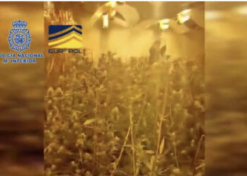 Europol godet grupin kriminal shqiptaro-kinez, zbulohen 65 milionë euro transferta për të pastruar paratë e drogës