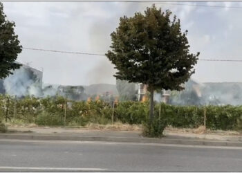 Zjarr në hyrje të Lezhës, flakët rrezikojnë një fabrikë këpucësh