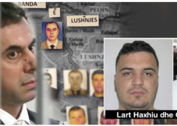 Pengmarrje, vrasje e mbytje në rezervuar/ ‘Zbërthehen’ krimet e grupit të armikut të përbetuar të Aldo Bares