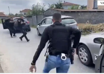 Asgjësohen 115 bimë kanabis në Vaun e Dejës, pranga 38-vjeçarit, nën hetim gruaja e tij