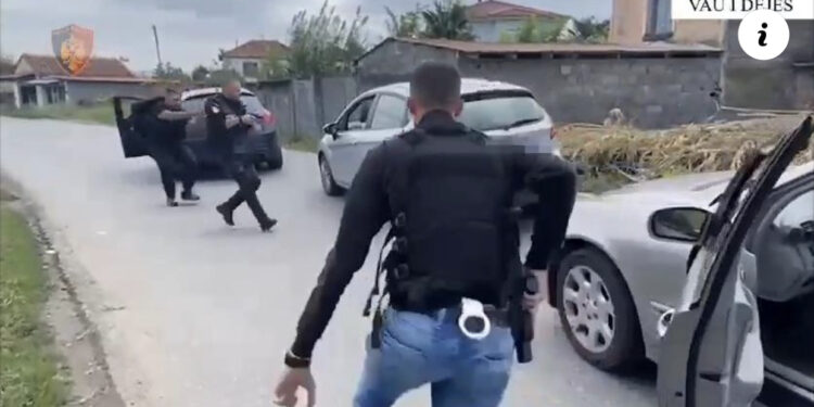 Asgjësohen 115 bimë kanabis në Vaun e Dejës, pranga 38-vjeçarit, nën hetim gruaja e tij