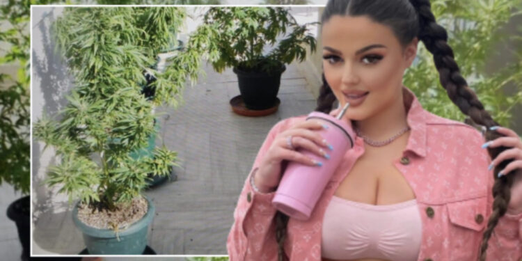 Drejtësia nuk është e barabartë për të gjithë! Enca lirohet nga burgu